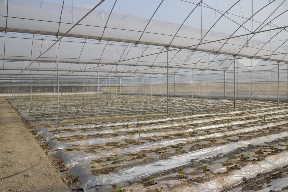 温室大棚常规性要求细则