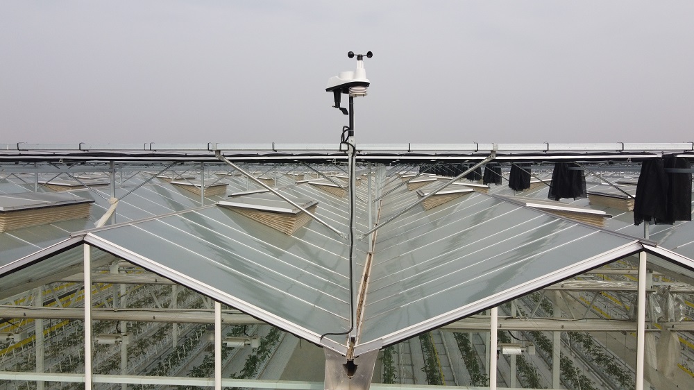智能温室大棚种植自动控制系统详解