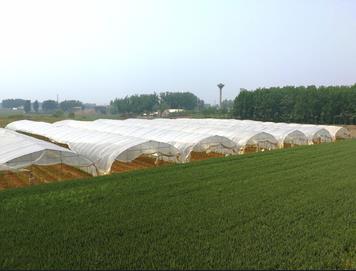 2022推荐；关于四川温室大棚的知识你知道吗?