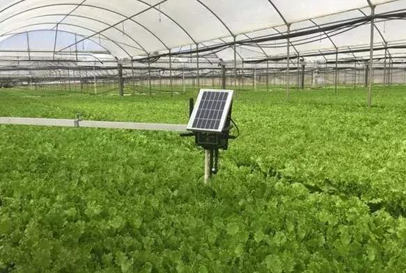 重庆农业物联网是怎么回事？有多厉害？