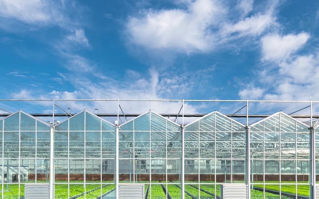 本周推荐：你知道四川温室大棚种植的知识吗？