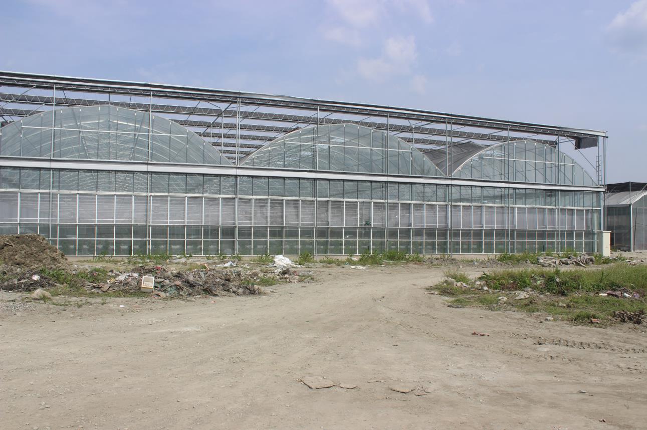 四川温室大棚效果图