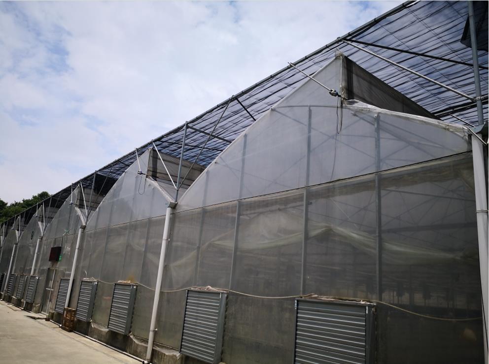 重庆塑料大棚