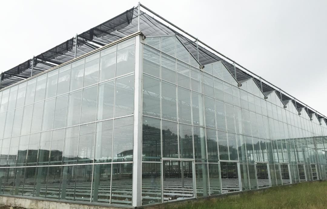 四川文洛温室展示