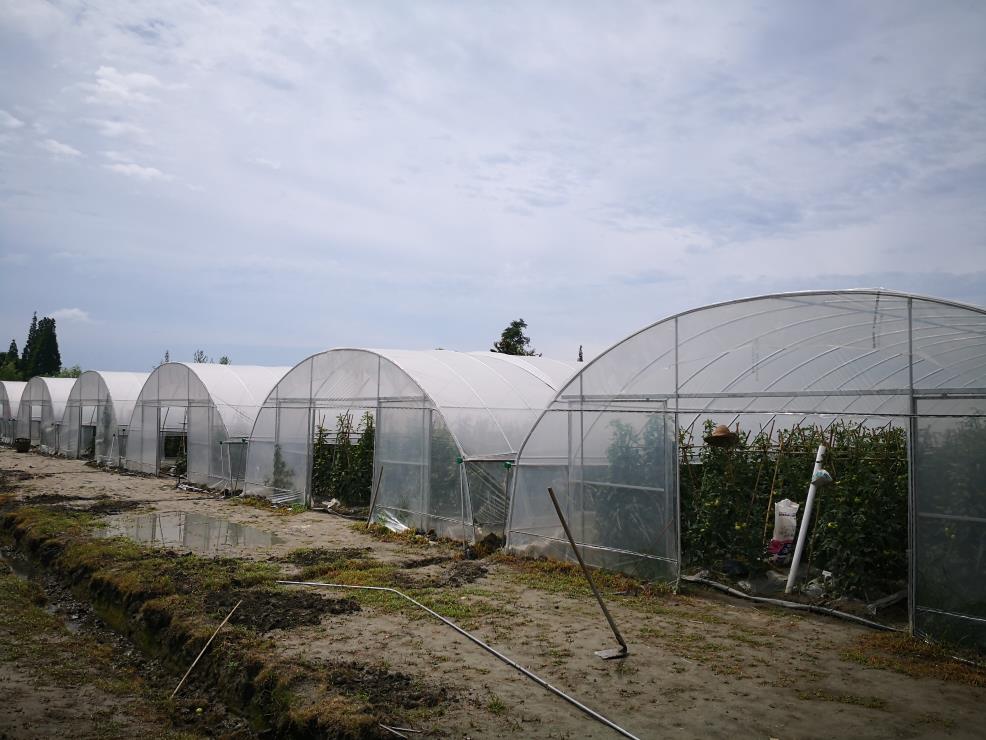四川圆拱温室