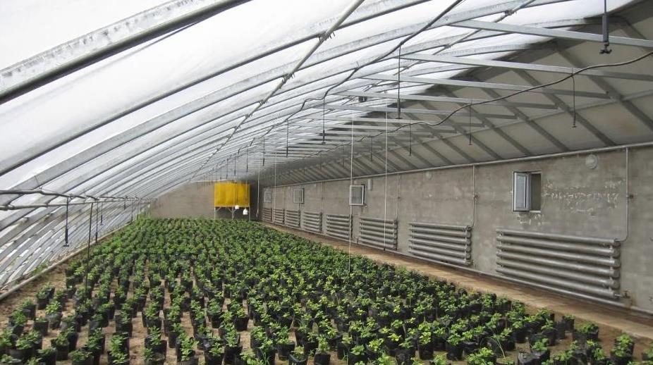 四川日光温室展示