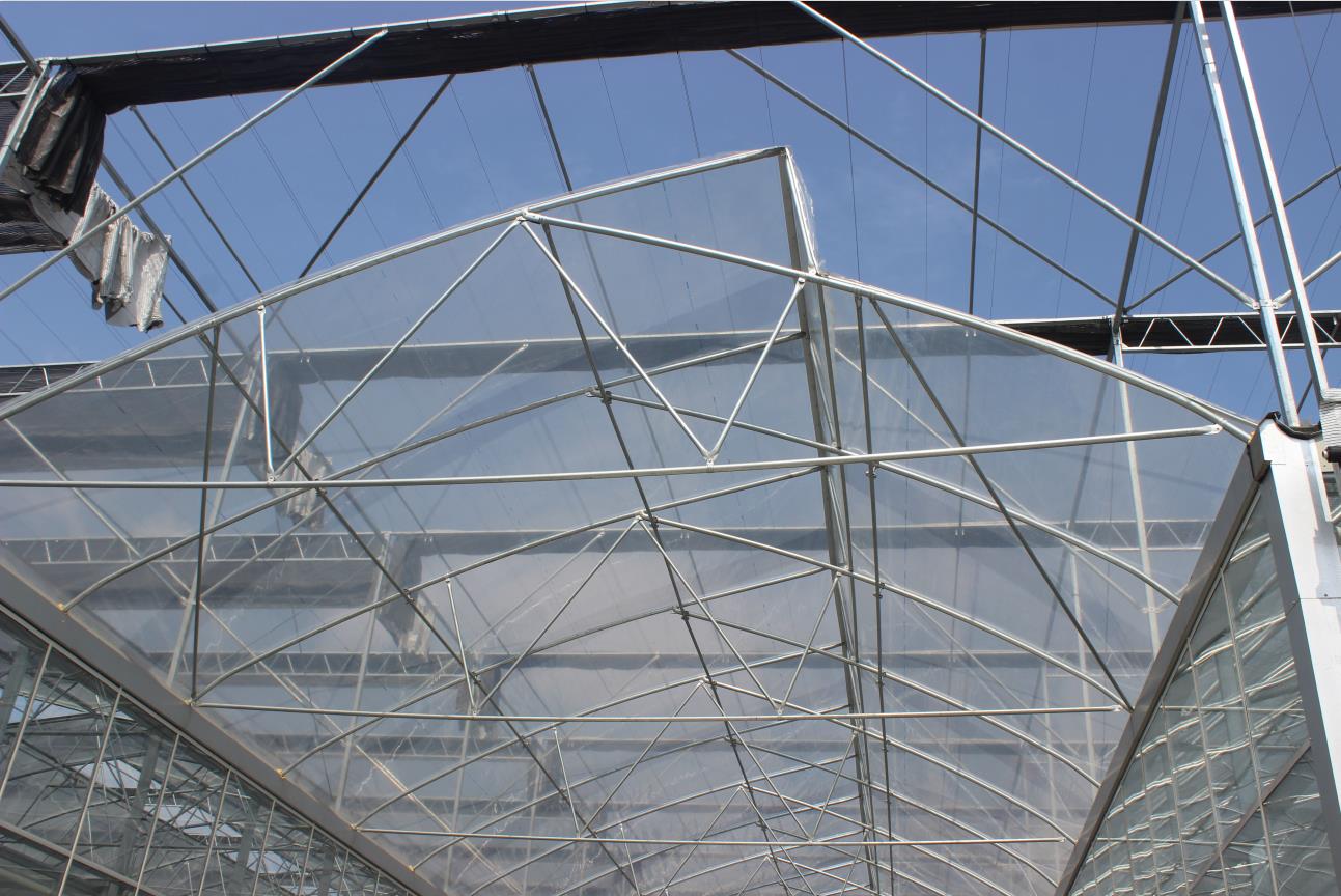 四川塑料大棚厂家