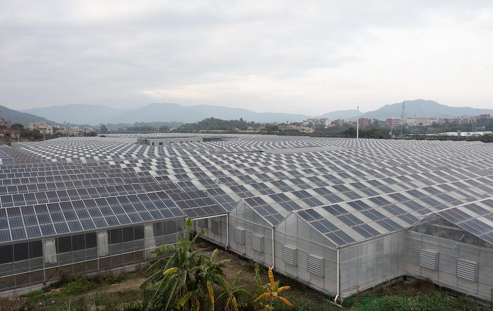 四川蔬菜大棚厂家