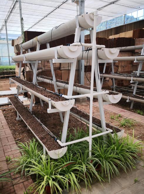 重庆大棚种植厂家